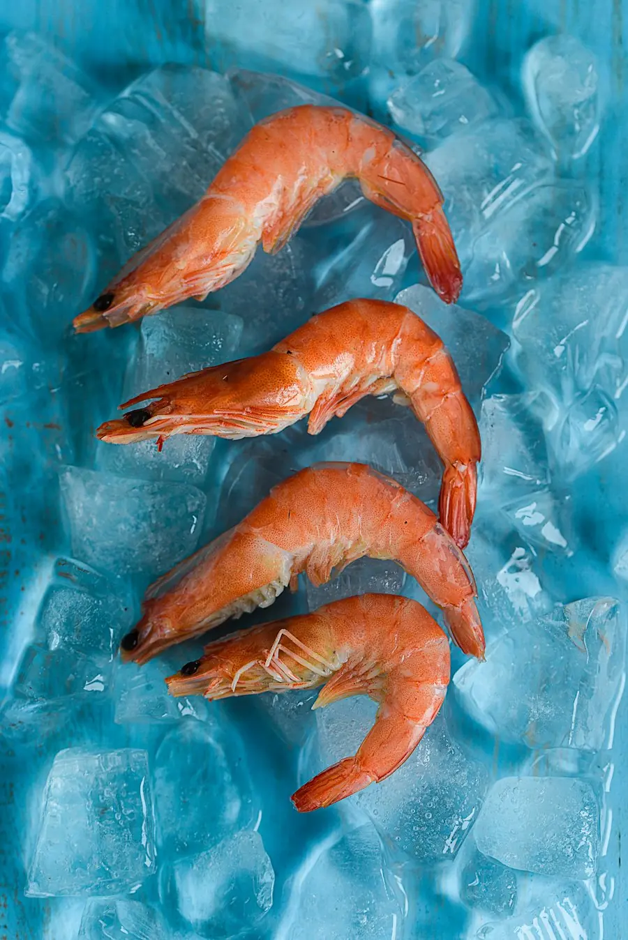 Shrimp laid out on ice