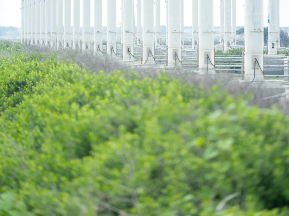 A row of vertical-axis wind turbines